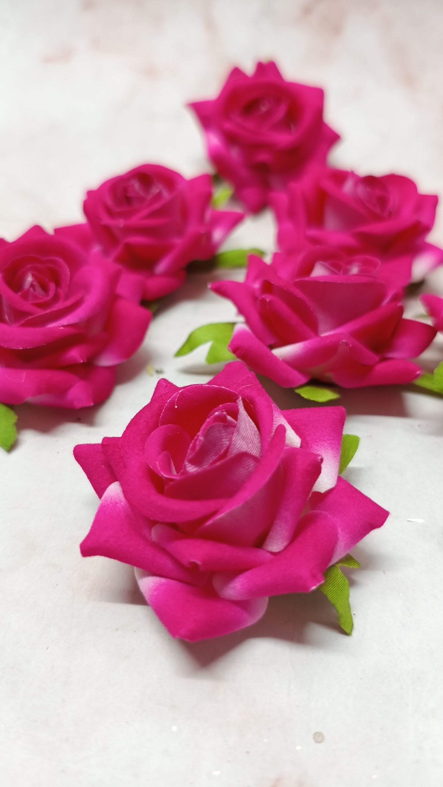 Fuchsia Roses (5 pieces)