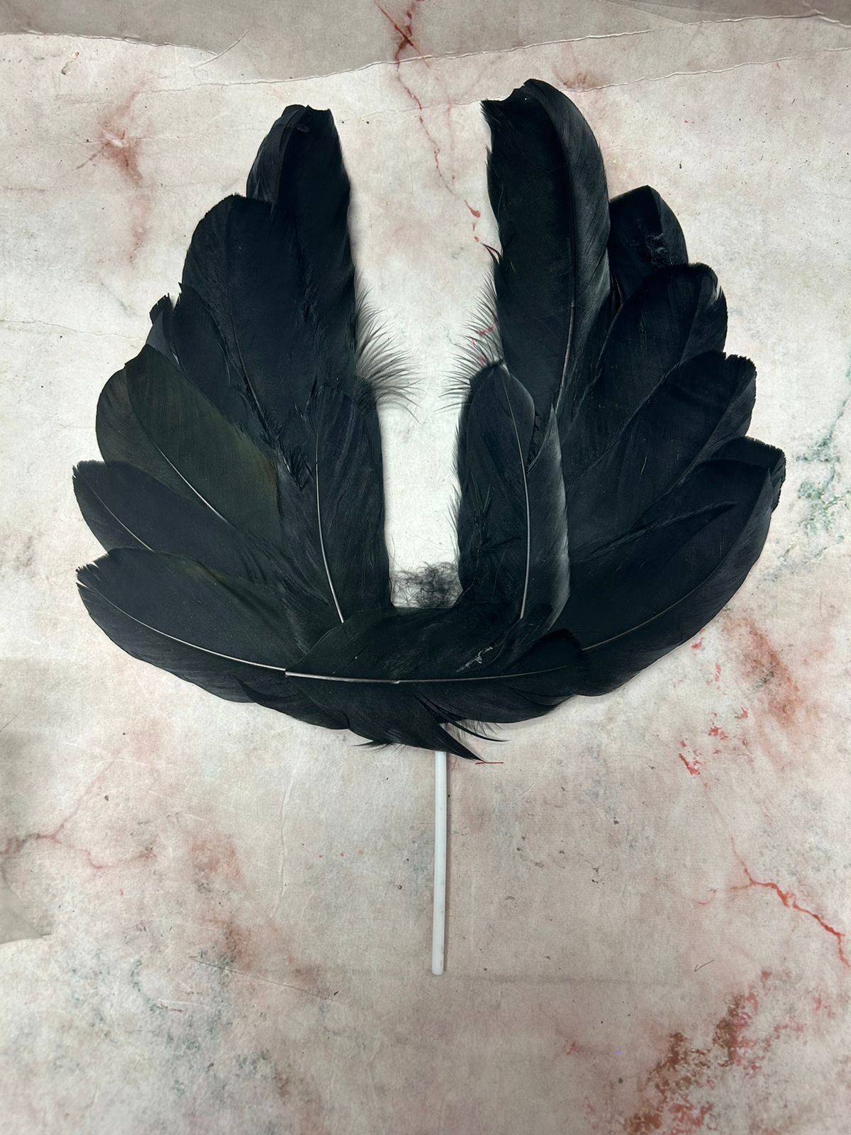 Angel Wing Feather Black