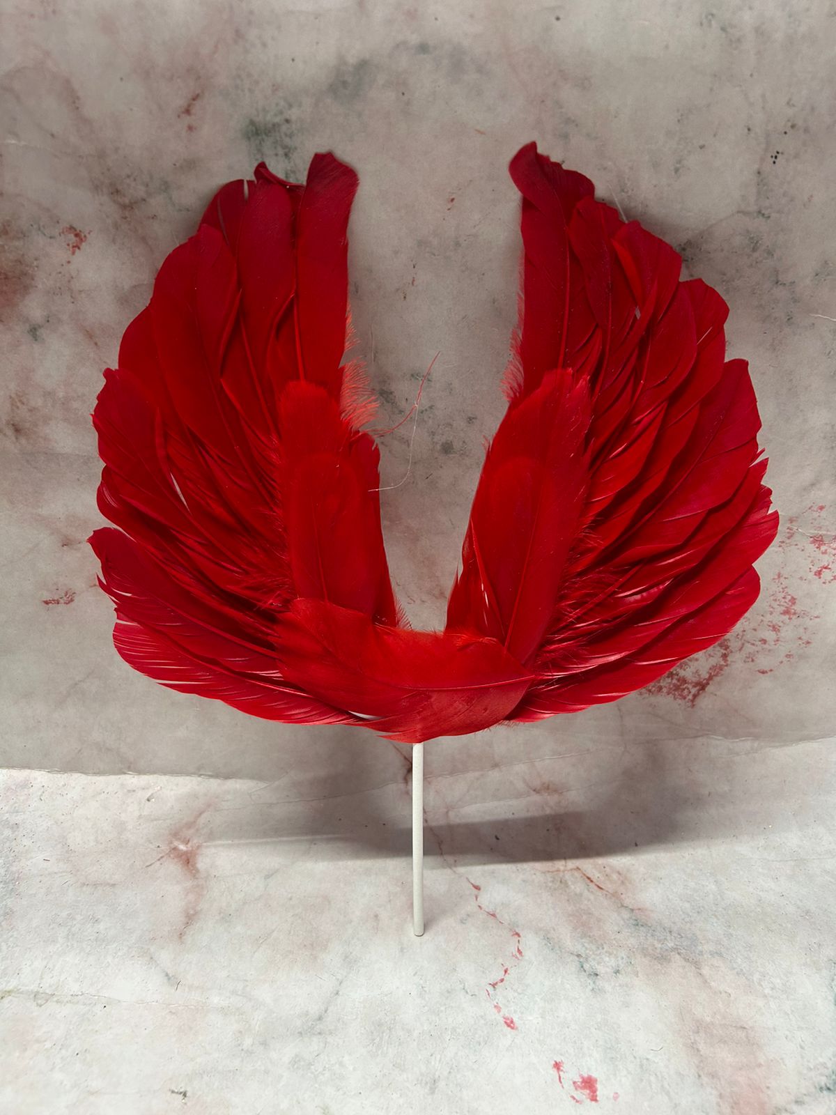 Angel Wing Feather Red