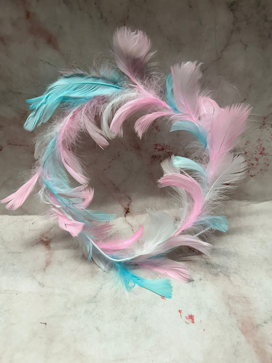 Bendable Wing Feather Pink & Blue