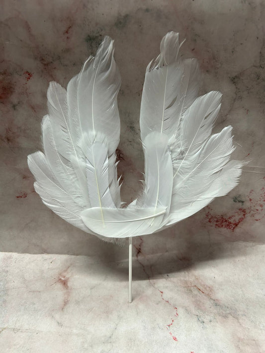 Angel Wing Feather White