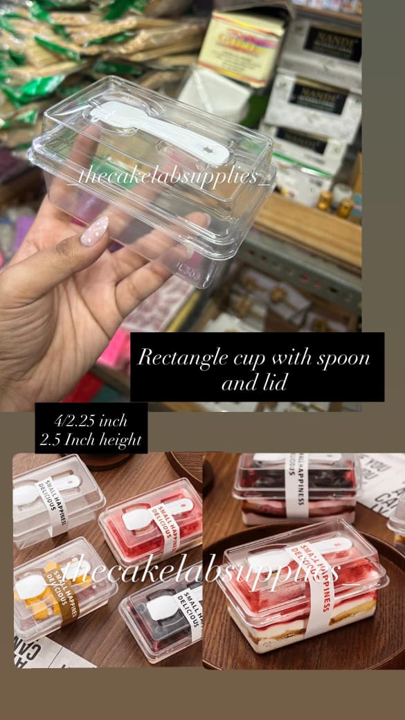 Rectangle Dessert Tub with Lid and Spoon (Pack of 10pcs)